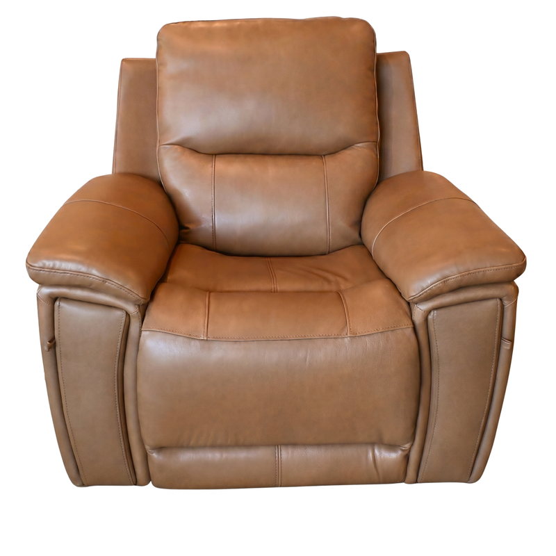Genova Earth Leather Power Recliner