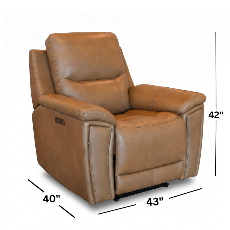 Genova Earth Leather Power Recliner