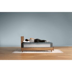 Dream Series 1 Firm TT Full Mattress