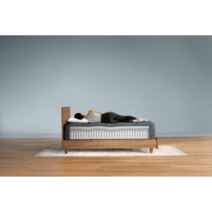 Dream Series 2 Plush PT Full Mattress